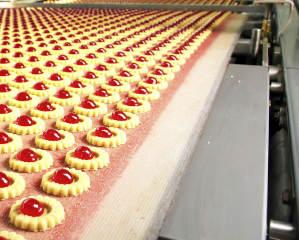 Biscuit Conveyor Belts